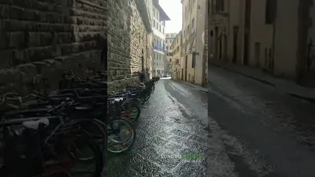 Da piazza della Signoria a piazza Santa Croce. смотреть онлайн