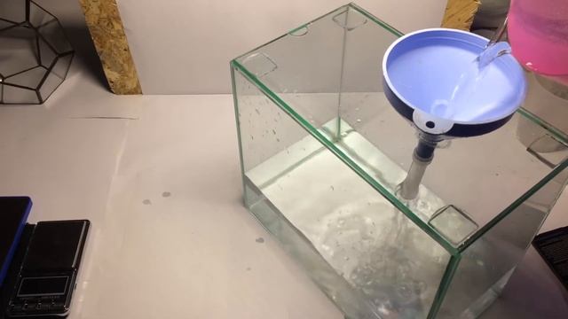 ? #9 Тетраселмис / tetraselmis ❓ (все что нужно знать) смотреть онлайн