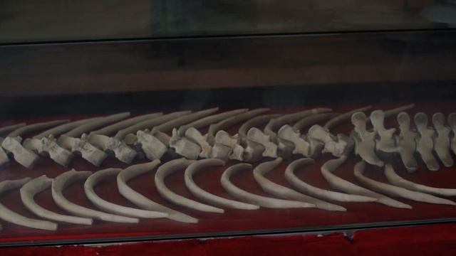 Вьетнам.Фукуок Музей.Что посмотреть во Вьетнаме?Куда пойти на Фукуоке?Достопримечательности Вьетнам смотреть онлайн