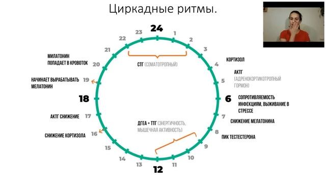 Вебинар БодиБалет тренировки на результат с любовью к себе 2019 05 31 смотреть онлайн