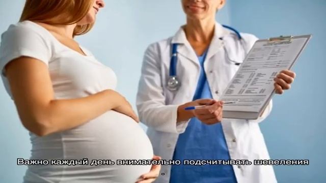 С какой недели беременности начинается 3 триместр, сколько он продолжается и когда заканчивается? смотреть онлайн