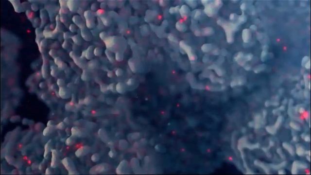 Гейзер Био Магазин Гейзер смотреть онлайн