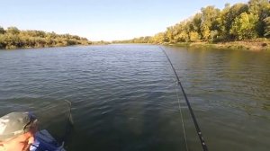 Болхуны рыбалка