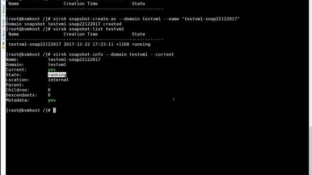 KVM | Guest VM Snapshot Create/Restore смотреть онлайн
