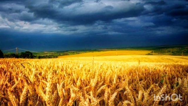 Солнце Правды - Жизнь посвящаю Тебе смотреть онлайн