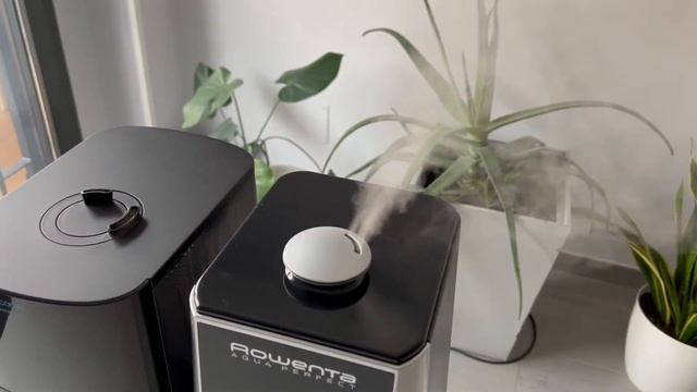 ► Comparativa de los humidificadores Rowenta Aqua Perfect vs Cecotec ProBreeze 4000 смотреть онлайн