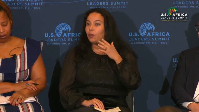 U.S.-Africa Leaders Summit - Diaspora Forum Breakout Session on Education, part 2 смотреть онлайн
