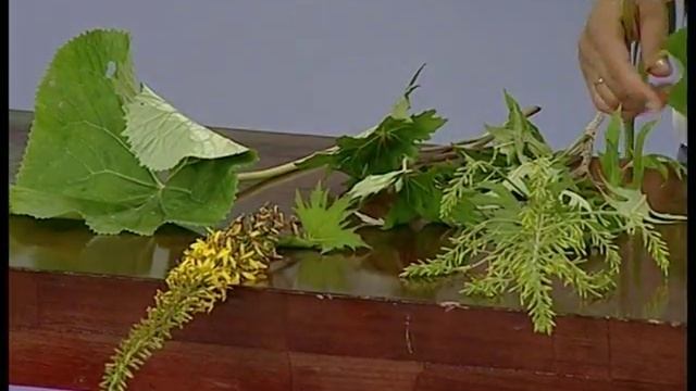 Советы ландшафтного дизайнера: бузульники смотреть онлайн