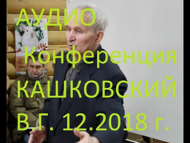 В.Г. Кашковский Аудио конференция встреча 2018, вопрос ответ и ничего лишнего. смотреть онлайн