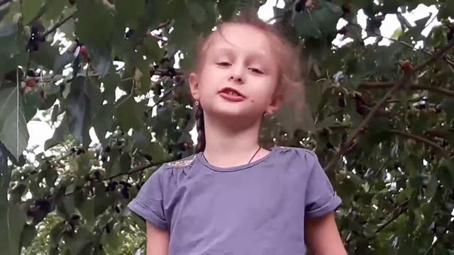 Вкусная и огромная шелковица! смотреть онлайн