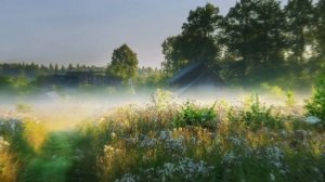 Как образуется туман?