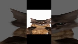 тренд из ютуба