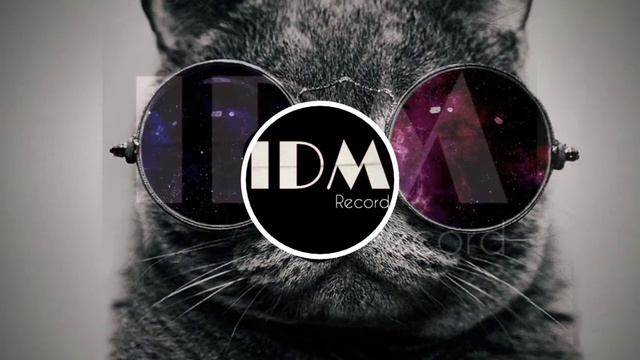 The Groovy Cat (Tech House Edit) IDM Record смотреть онлайн