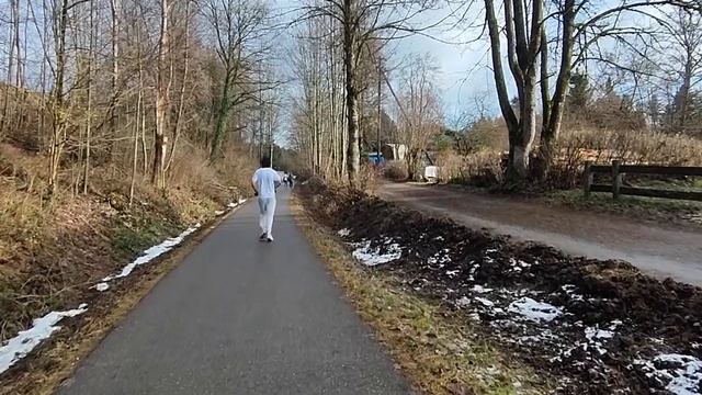 ГЕРМАНИЯ/МИНИ-СТАНЦИЯ по ремонту велосипедов и колясок БЕСПЛАТНО/ЛОШАДКИ/Прогулка 01.01.24/СНЕГА НЕ смотреть онлайн