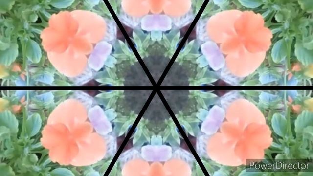 Kaleidoscope - Wonderful Flowers and Pink Flamenco. Spanish Music. смотреть онлайн