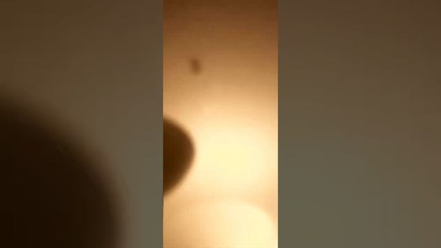 Ловим клопа! смотреть онлайн