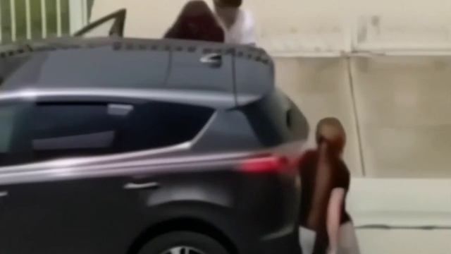 Парк Галицкого смотреть онлайн