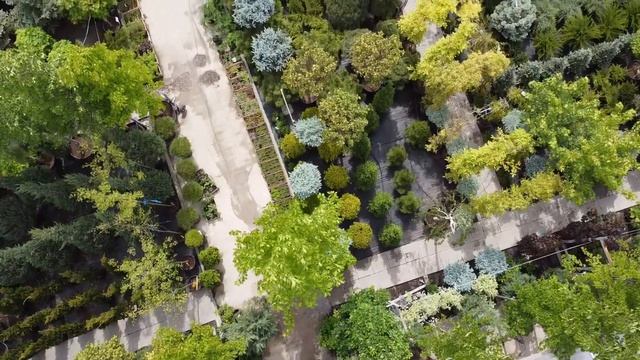 Наш садовый центр Сад.Ко смотреть онлайн