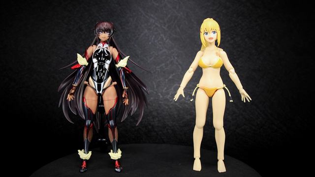 Second Axe Taimanin Yukikaze Mizuki Action Figure Review