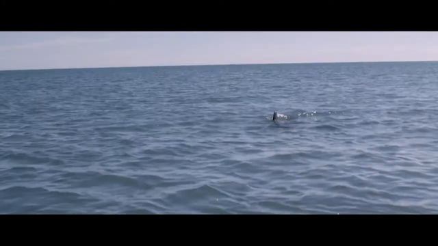 Открытое море: Монстр глубины 16+ смотреть онлайн