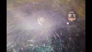 Фридайвинг в гротах мыса Ай-я