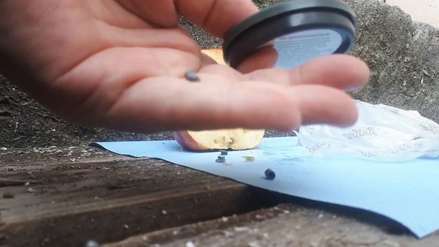 ИЖ-38 и экспансивки. не раскрываются, но канал раневой широкий! и бонус - разрывная пуля! смотреть онлайн