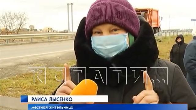 Рогатый террор в Дивееве - коровы обворовывают огороды соседей смотреть онлайн