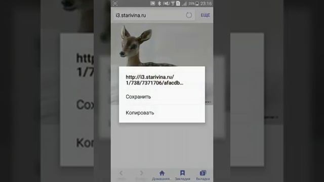 Как скачивать картинки из интернета. смотреть онлайн