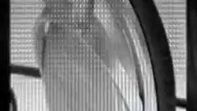 Subasta Audifonos sony mdr #09 смотреть онлайн