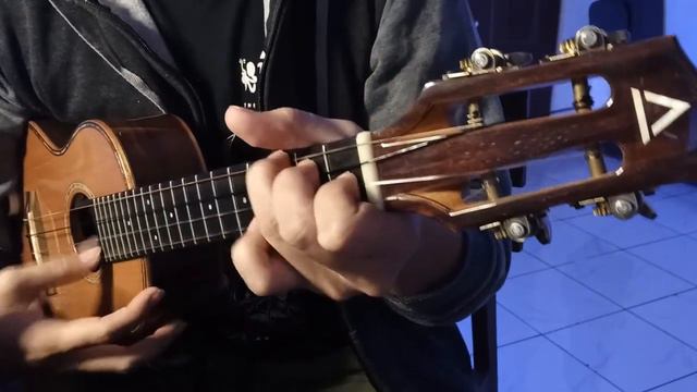 Make You Feel My Love (Ukulele Instrumental Cover)