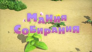Маша и Медведь, Мания собирания, 121 серия