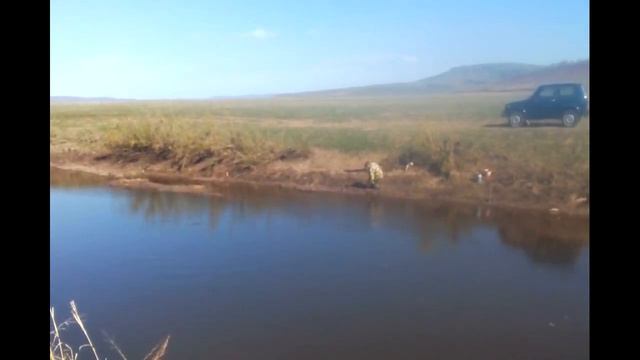 Река Оса в мае смотреть онлайн