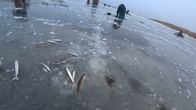 Открытие зимнего сезона 2022 г смотреть онлайн