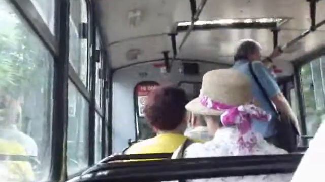 ZIU 9B Trolleybus In Budapest (Nr. 933)