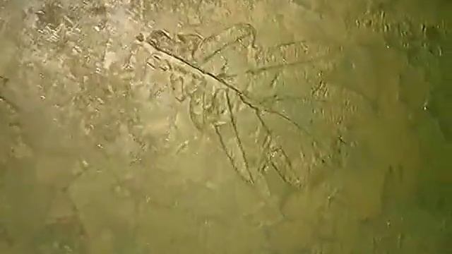 Декоративная штукатурка листья с блестками смотреть онлайн