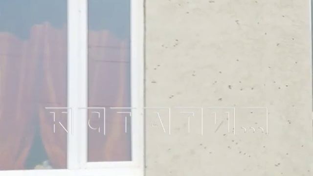 Биологи рассказали о причинах нашествия мух в микрорайоне «Цветы» смотреть онлайн