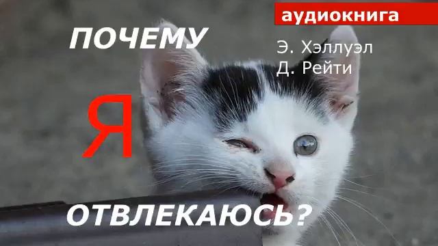 АУДИОКНИГА. Э. Хэллуэл Д. Рейти. Почему я отвлекаюсь? смотреть онлайн