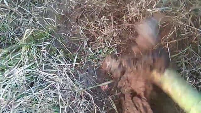 Uwielbiam dym purchawkowy смотреть онлайн