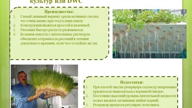 наука в растениводстве 8 класс Урок 2 смотреть онлайн