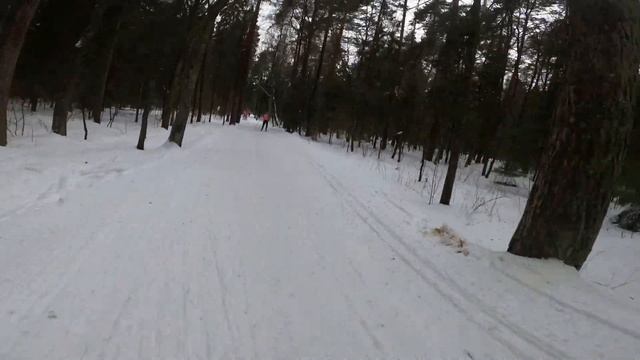Grom Ski 50K & Relay Мещерский парк 26.02.2023 смотреть онлайн