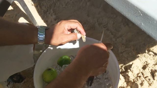 САМЫЙ ПОПУЛЯРНЫЙ ПЛЯЖ СЕВЕРНОГО ПОБЕРЕЖЬЯ ДОМИНИКАНЫ I Обед в рыбном ресторане на берегу океана смотреть онлайн