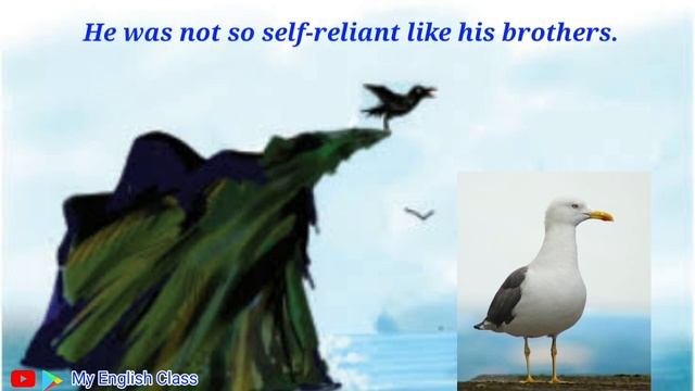 Plus one English| His First Flight|Exam questions| Character of Young seagull| English improvement смотреть онлайн
