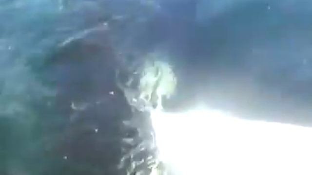 Магадан Охотское море смотреть онлайн