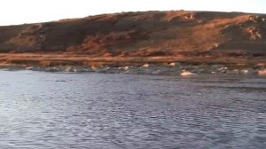 Рыбалка на мышь