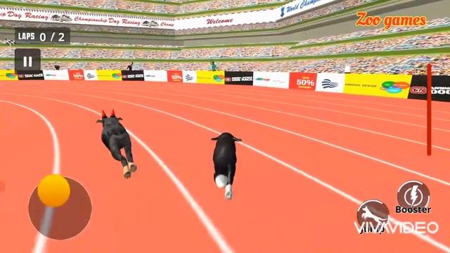Dog Race Sim 2019: Dog Racing Games |Zoo games| смотреть онлайн