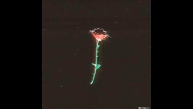 Копюшон Ноу Мо - Саранхэ (slowed + Reverb)