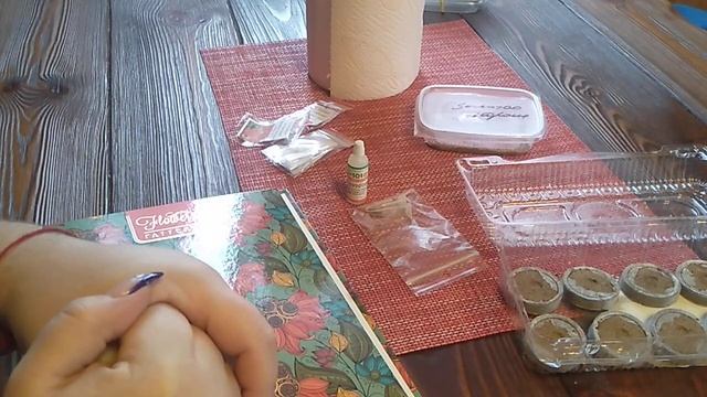 Посев рассады клубники семенами сезон 2021 часть -1 // Ягодная Империя Анастасии смотреть онлайн