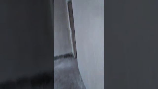 штукатурные работы 2