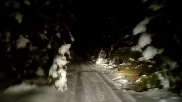 Нива Шевроле. Лес поездка смотреть онлайн