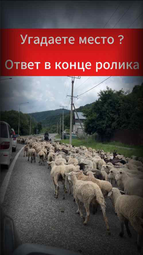 Угадаете место смотреть онлайн